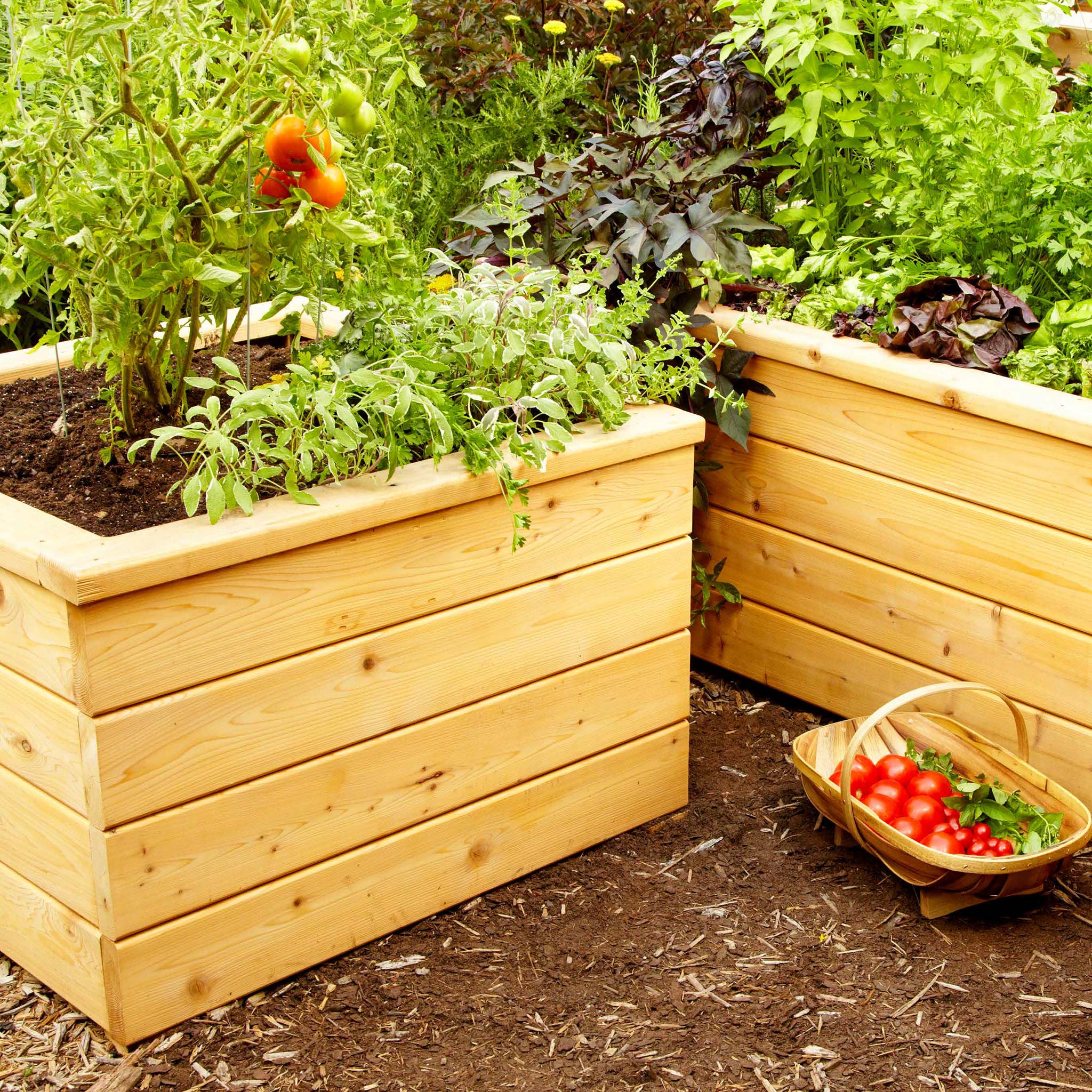 Self Watering Planter - Image 2